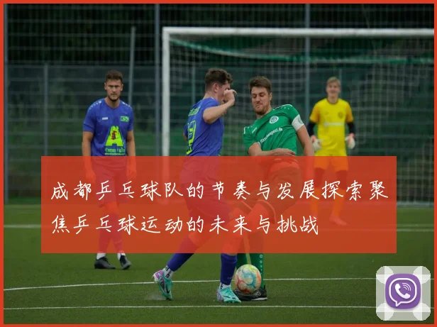 成都乒乓球队的节奏与发展探索聚焦乒乓球运动的未来与挑战