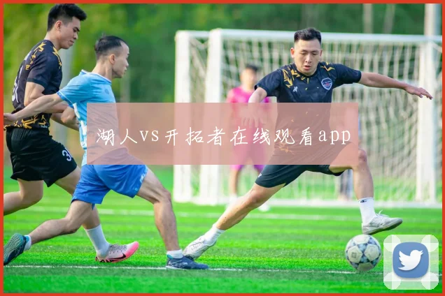 湖人vs开拓者在线观看app
