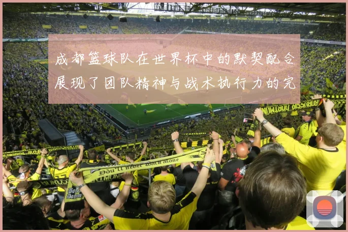 成都篮球队在世界杯中的默契配合展现了团队精神与战术执行力的完美结合