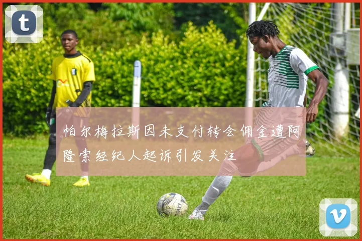帕尔梅拉斯因未支付转会佣金遭阿隆索经纪人起诉引发关注