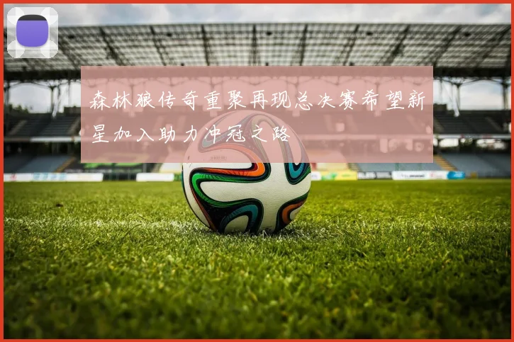 森林狼传奇重聚再现总决赛希望新星加入助力冲冠之路